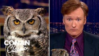 Animal Expert Jarod Miller: Great Horned Owl & Crocodile | Late Night with Conan O’Brien