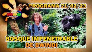 MDQ, para todo el mundo - Programa 21/02/23 - EL BOSQUE IMPENETRABLE DE BWINDI