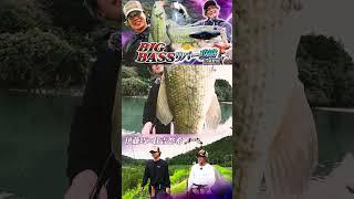 【Takuito伊藤巧＆住吉悠希】BIG BASS リバー攻略in桑野川 #shorts