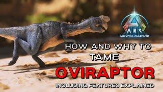 ARK Survival Ascended | How to USE the OVIRAPTOR / How to TAME the EASIEST / BEST KIBBLE FARM