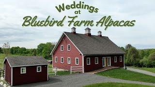 Weddings at Bluebird Farm Alpacas