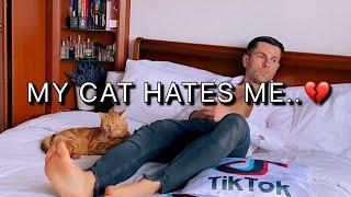 Are you a cat lover? #cats #pets #cute #love #shorts #shortsyoutube #youtubecats #pet #catsofyoutube