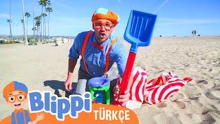 Plajda Blippi ile Renkleri ve Sayıları Öğren | Blippi Türkçe - Çocuklar için Eğitici Videolar