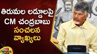 CM Chandrababu Sensational Comments On Tirumala Laddu | TDP Vs YCP | TTD | AP Politics | Mango News