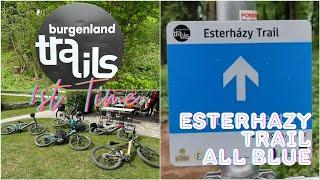 Esterházy Trail KOMPLETT mit allen 🟦-Abzweigungen | Burgenland Trails | YT Decoy & Test SCOR4060Z LT