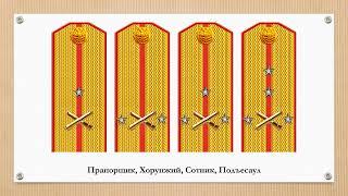 Знаки различия артиллерийских батарей казачьих войск