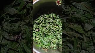 Иван чай - вкусен и полезен! Seedlandia.ru - саженцы и семена растений для сада и дома