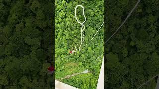 张家界玻璃桥蹦极 Zhangjiajie Glass Bridge Bungee Jumping #animal 【跟着图尔去旅行】