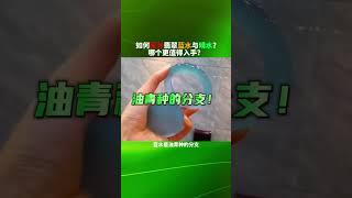 如何区分蓝水晴水翡翠？哪个更值得入手？#shorts #翡翠