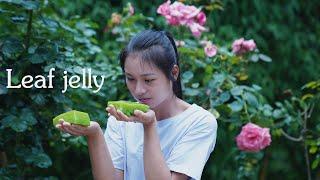 Green Grass Jelly Cooking with Natural Plants and Leaf Ash