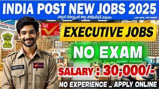  Postal Jobs New Recruitment 2025 || ₹.30,000 SALARY || IPPB Executive Vacancy || Free Job Search