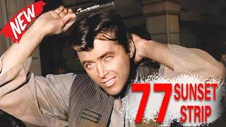 77 Sunset Strip Full Episodes 2024  Best Private Detective Drama Series  Popular American Tv Show