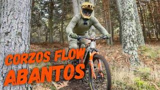 ‍️ Corzos  | Abantos | San Lorenzo de El Escorial (Madrid) | Enduro MTB | FOCUS SAM2