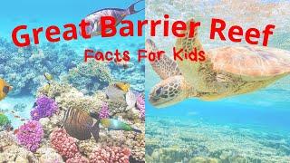 Great Barrier Reef Facts For Kids