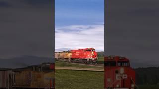 CP 8875’s 2PC NF K5HL!