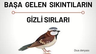 Başa gelen sıkıntıların gizli sırları | ibretlik sohbetler vaazlar