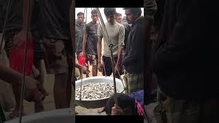 Amazing Rural Village Fish Market In Bangladesh  #fish #fishmarket