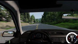 Pov you're driving home from work, but Freebird is on the radio - BeamNG