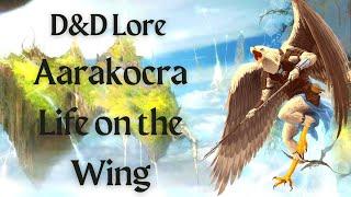 Dungeons and Dragon Ecology: The Aarakocra