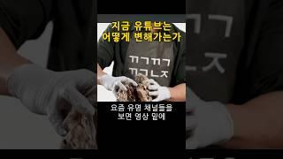 유튜브 쇼핑 수익으로 트렌드가 바뀐다!? 유튜브의 수익창출 트렌드 변화에 대해서