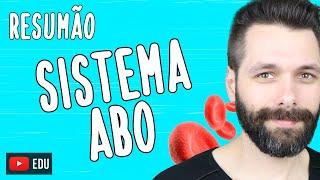 SISTEMA ABO - Grupos Sanguíneos - Resumo | Biologia com Samuel Cunha