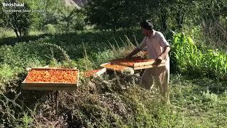 Lifestyle of People in Gilgit Baltistan | Village Life