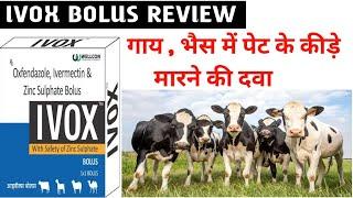 Ivox Bolus | Deworming for cows and Buffalo | ivox bolus review | deworming bolus for cattle | ivox