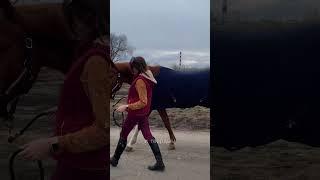 Новый формат Как вам, делаем?) #конники #horse #конныйблог #лошади #лошадь #конныйспорт #конкур