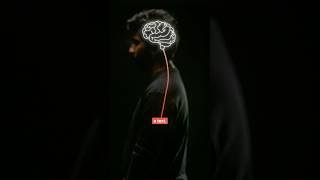 Meta’s Brain2qwerty converts your brain signals into a text
