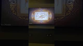 بدأت قناة "بورصة واستثمار - borsa w Astsmar" بثًا مباشرًا
