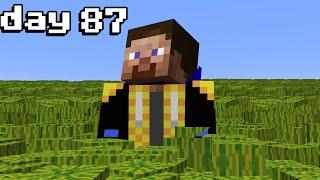 Can you farm 1,000,000 Melons in 100 Minecraft Days?