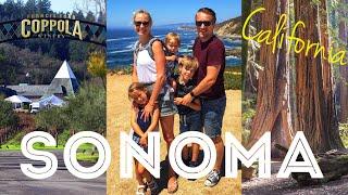 Sonoma County Adventures: Wine Tasting, Redwoods, Whale Watching, and Family Fun!