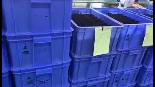 Production line daily