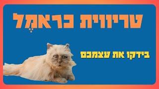 כראמל - חידון טריוויה - בידקו את עצמכם - הכנה כראמל 3