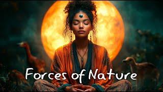 Forces of Nature  Shamanic drumming  Spiritual tribal music  Shaya meditations