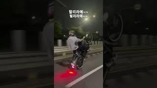 할리로 조져버리기~~#할리데이비슨 #윌리 #바이크 #오토바이