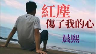 紅塵傷了我的心   演唱：晨熙