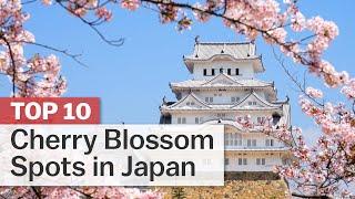 Top 10 Cherry Blossom Spots in Japan
