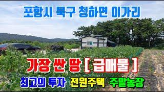 (급매물) 청하면 이가리 정말 착한 가격으로 나온 전원주택 주말농장부지 포항부동산 청하면 이가리 토지매매