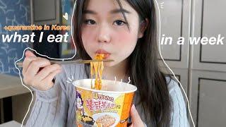 what I eat in a week!(Korean food+quarantine)