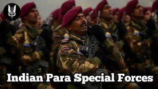 The Red Devil  Indian Para Commandos 