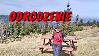 ODRODZENIE