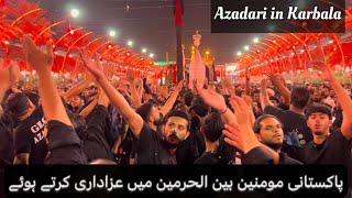 Muharram Karbala / azadari by Pakistani momneen in bainul haramain karbala #karbala #imamhussain