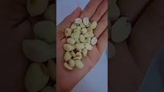 healthy chaat recipe  for evening snacks #healthy #healthysnacks #eveningsnacks#food#recipe#shorts