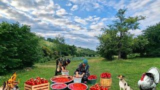 Cooking Tomato Paste. The Best Homemade Tomato Paste Recipe. @Kənd Dadı | A Taste of the Village