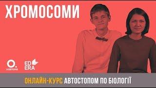 Хромосоми. ЗНО з біології