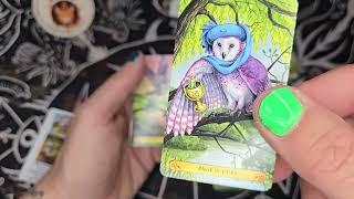 Tarot of Owls ~Deck Flip Through~