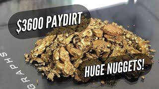 $3,600.00 Gold Paydirt - HUGE Gold Nuggets!