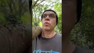 Как же прекрасно быть свободным | Рома Косточка - ЯСНОЛОГИЯ