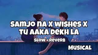 Samjho na X wishes X tu aake dekh la ( slow + reverb )